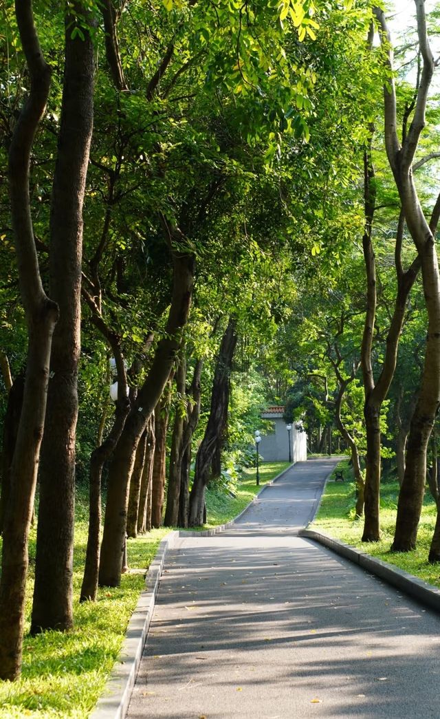 廈門集美學村漫遊指南 | 住錦江之星，邂逅夏日美好   想逃離城市喧囂，來一場輕鬆愜意的短途遊？