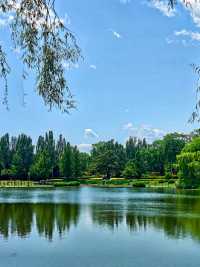 【北塢公園】漫步稻浪與古橋間