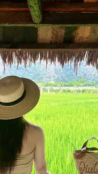 明仕田園私藏打卡位