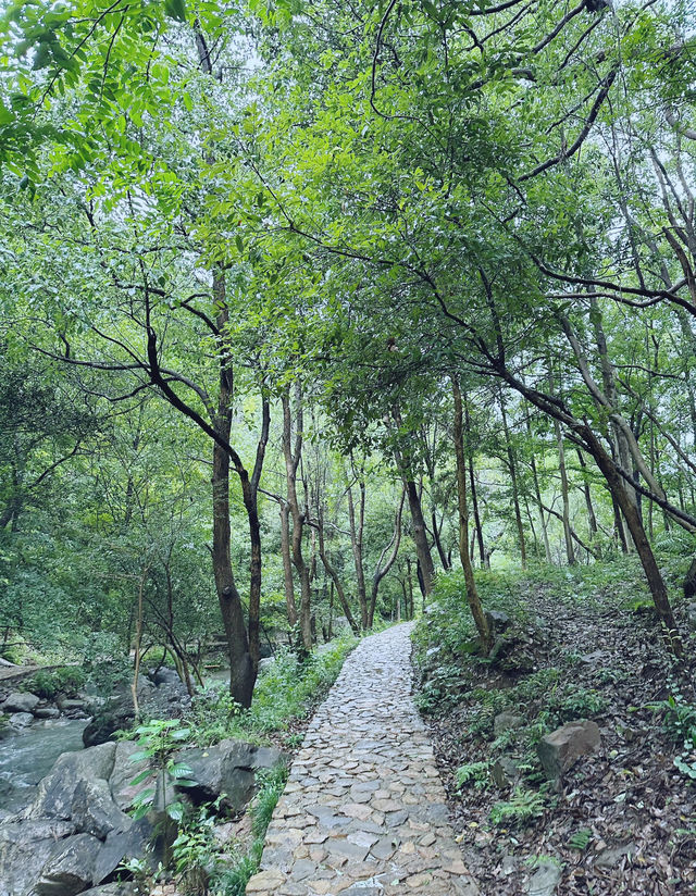 避暑攻略！杭州25℃玩水秘境，不搶真的會後悔