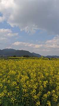 騰沖漫城民宿 | 邂逅詩意旅居時光