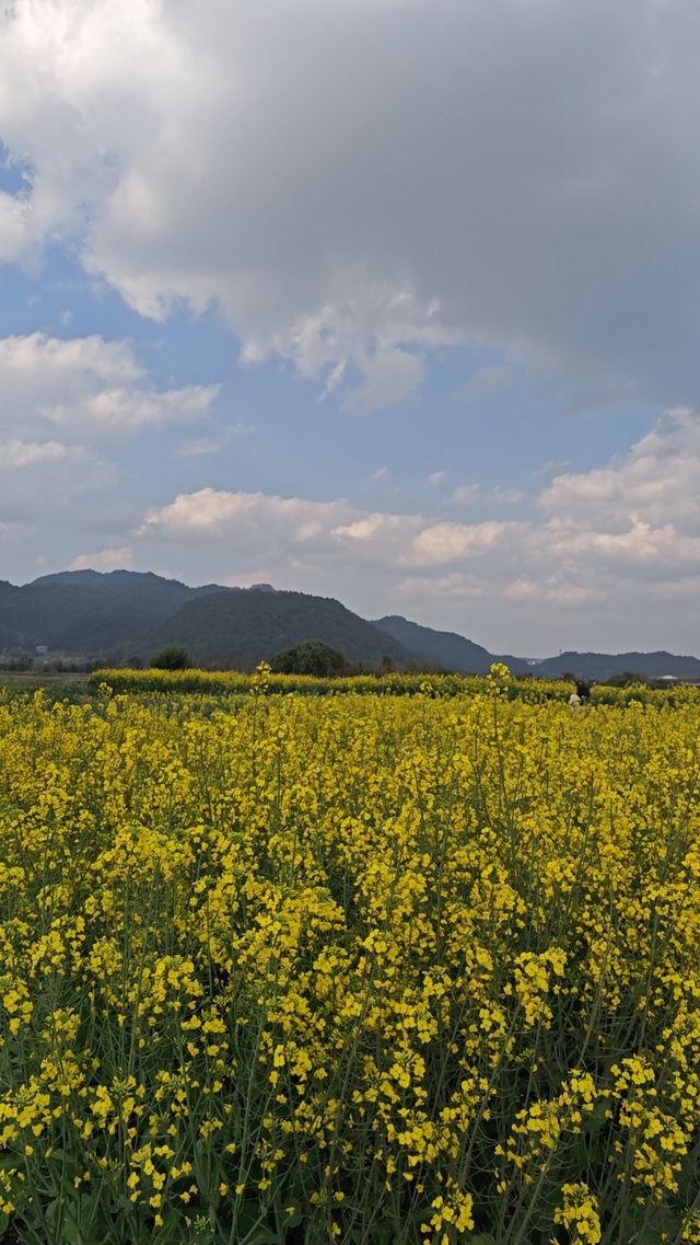 騰沖漫城民宿 | 邂逅詩意旅居時光