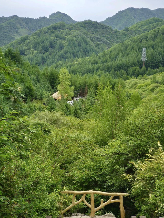 源頭微瀾處，聽見萬物初醒的聲音
