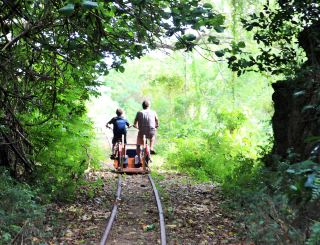 Explore Fiji's Coral Coast by Eco Train