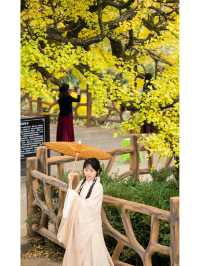 白雲白岩寨：600年布依隱世秘境