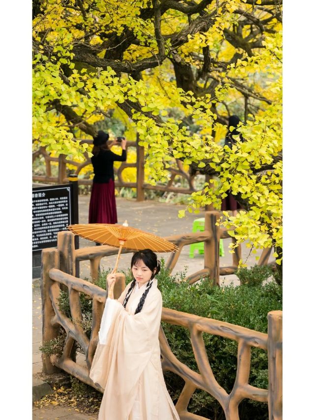 白雲白岩寨：600年布依隱世秘境