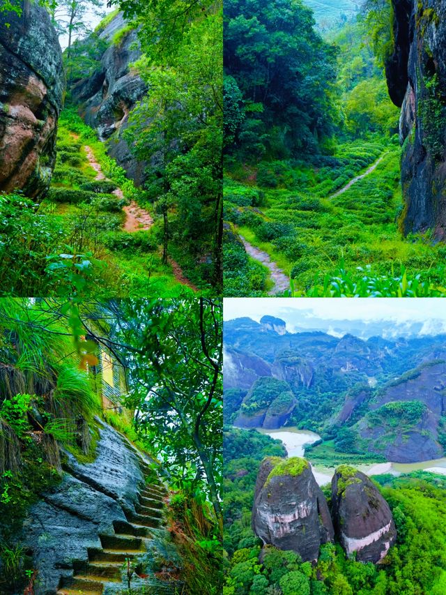 武夷山旅遊攻略 | 一場穿越山水與茶香的奇幻之旅