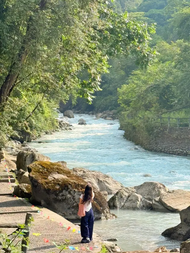 20℃森林秘境徒步