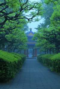雨後獨享天壇秘境