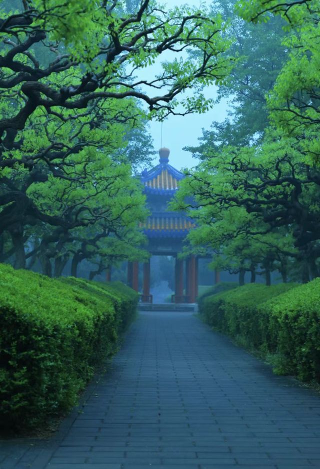 雨後獨享天壇秘境