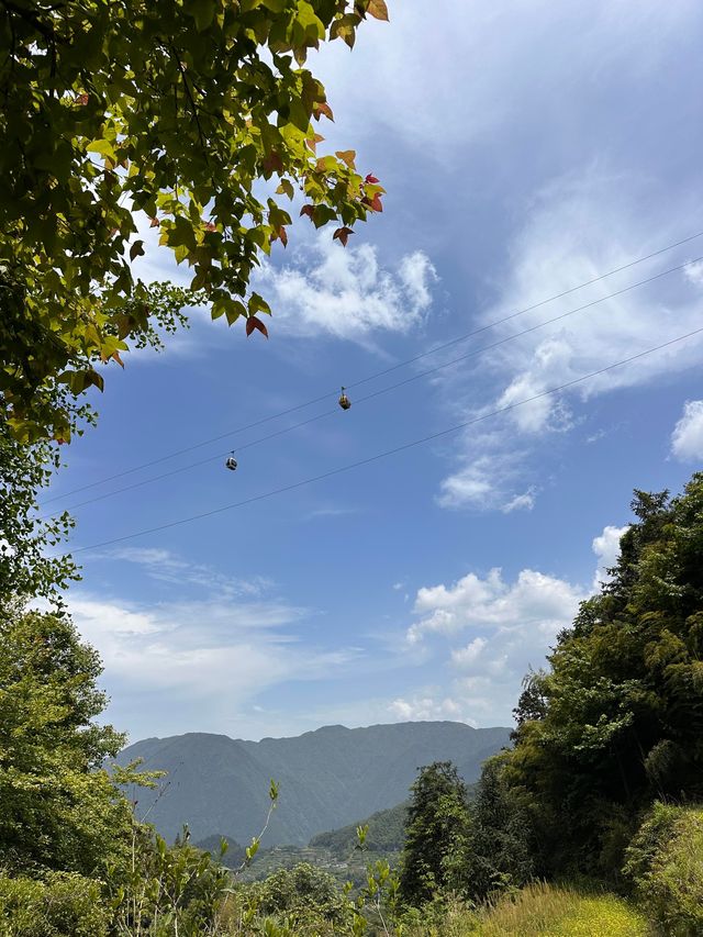 麗水4天3晚親子遊攻略｜仙都梯田+畲鄉古城，