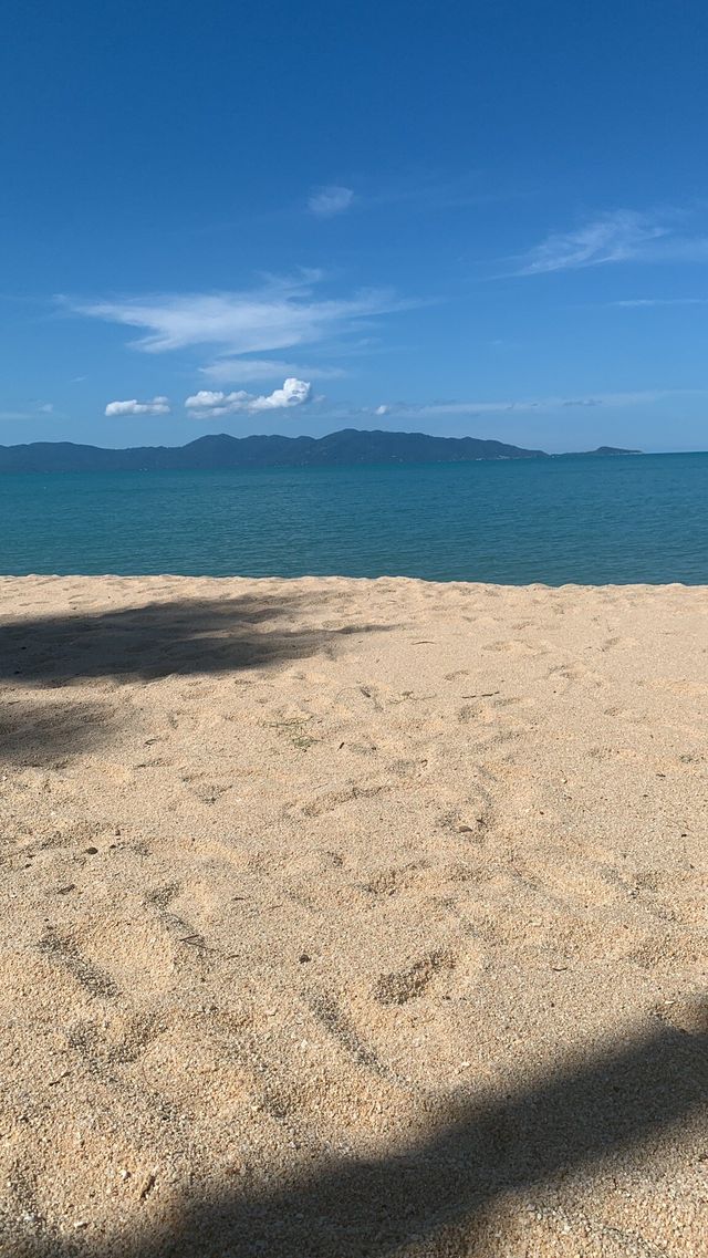 椰影搖曳!可可帕姆海灘度假村享寧靜假期   酒店:可可帕姆海灘度假村  地址:26/4 Mo 椰影搖曳!可可帕姆海灘度假村享寧靜假期   酒店:可可帕姆海灘度假村  地址:26/4 Mo