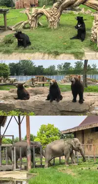 沒想到你是這麼好玩的旅遊荒漠