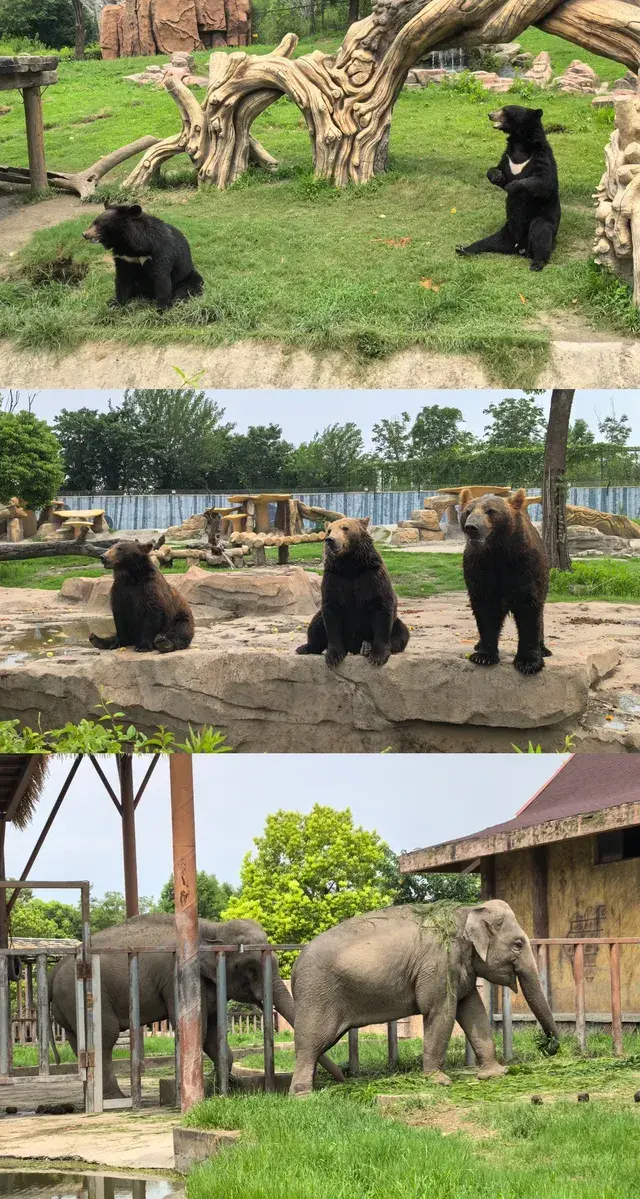 沒想到你是這麼好玩的旅遊荒漠