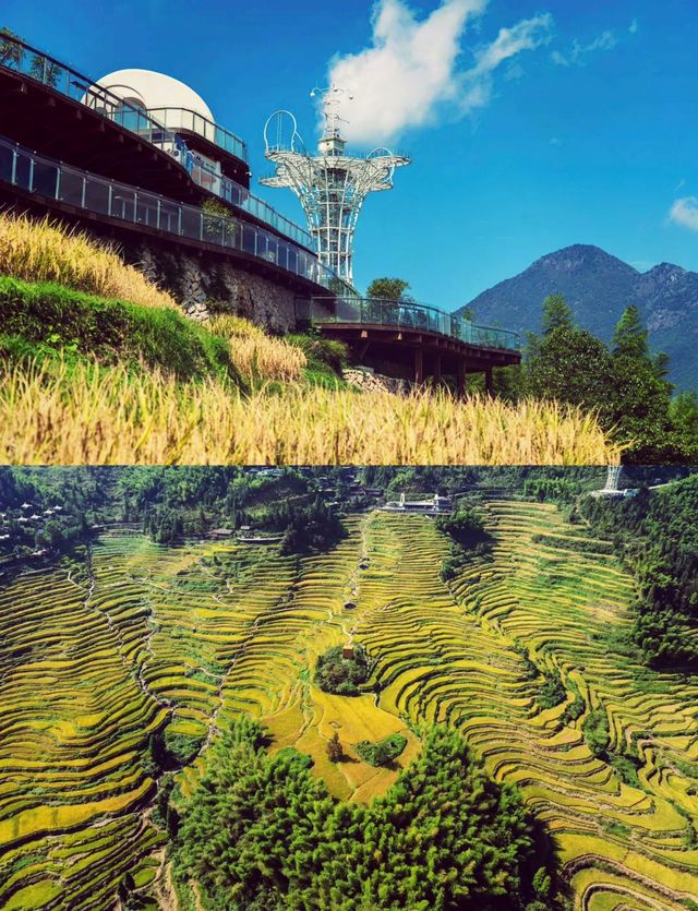 雲和梯田，華東最後秘境！千年農耕智慧驚艷了時光