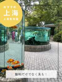 【上海動物園】パンダに会える動物園🐼