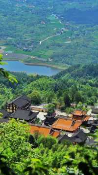 永川茶山竹海真絕了重慶人私藏的避暑秘境