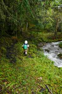 香格里拉尼丁森林|國慶真沒人!帶5歲娃徒步雲南魔幻森林