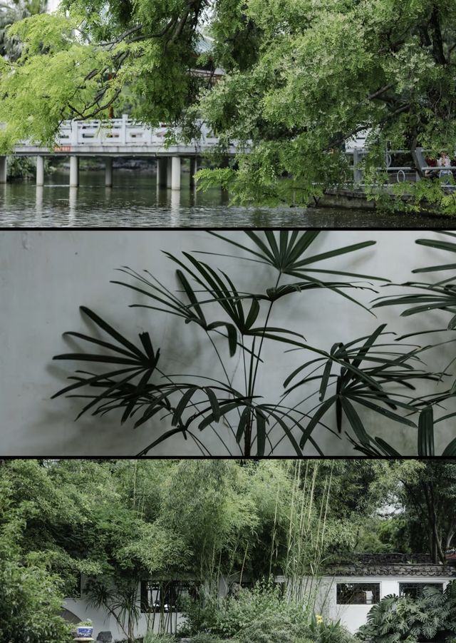 中式園林之美/柳侯公園