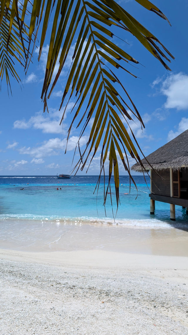 Exquisite Island Resort Experience