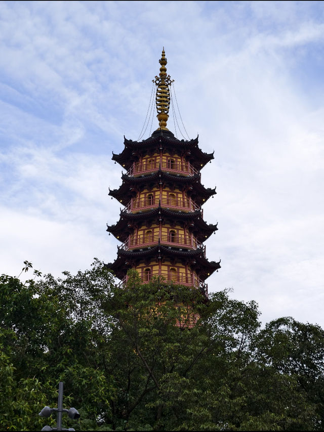 龍華公園拍塔全攻略