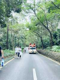 Enjoy and relax your day in Qingxiu mountain Nanning