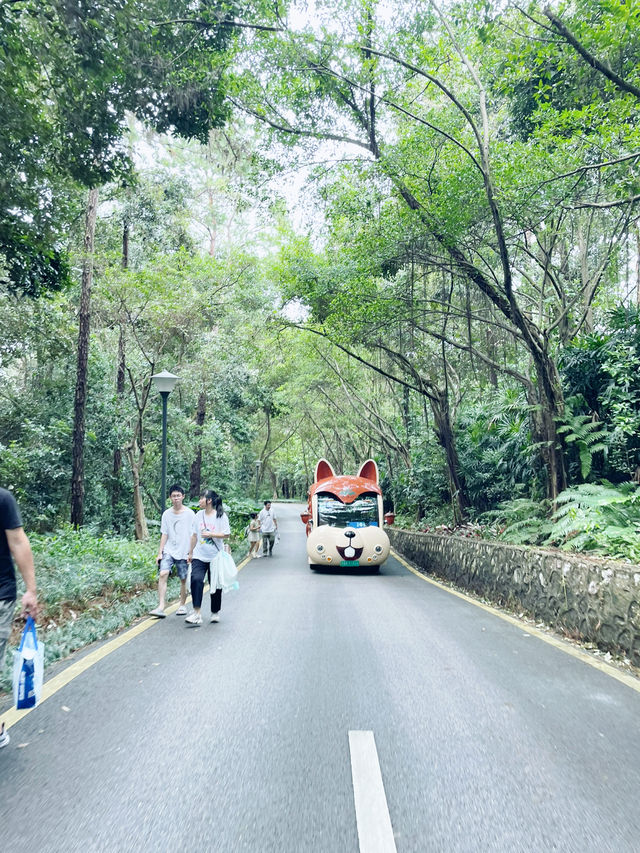 Enjoy and relax your day in Qingxiu mountain Nanning