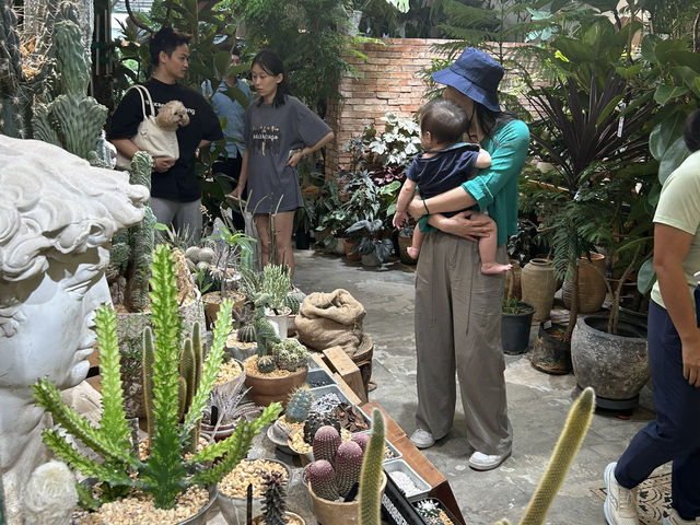 🌿 深圳花卉市場｜與植物來場浪漫的近距離約會 🌸