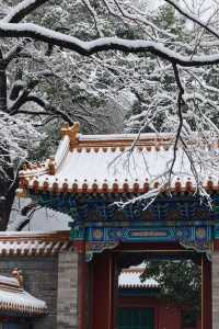 雪後的嵩山美到窒息這才是中原版的冰雪奇緣