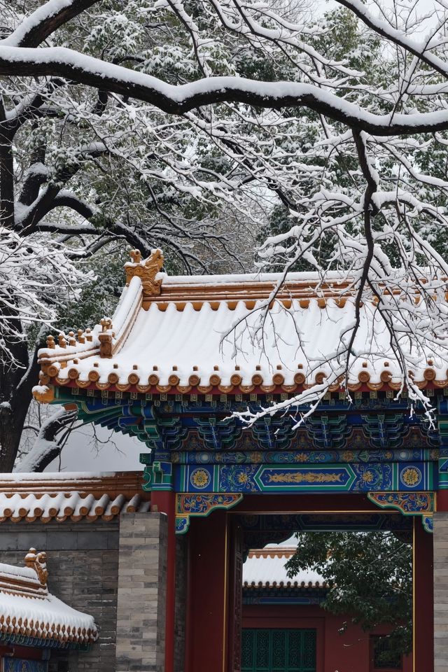 雪後的嵩山美到窒息這才是中原版的冰雪奇緣