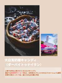 上海旅行・買うべき人気お土産12選
