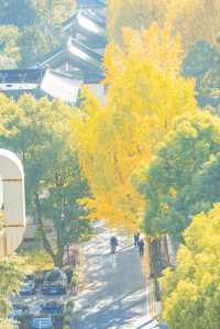 南京城牆上拍。雞鳴寺的古今同框的秋天
