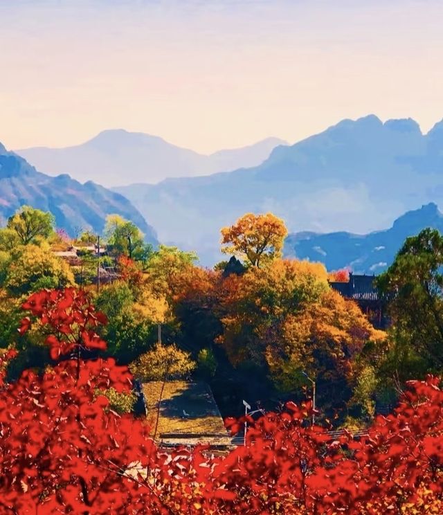 阜平山的深秋美景解鎖啦｜把北方的美景變成了油畫