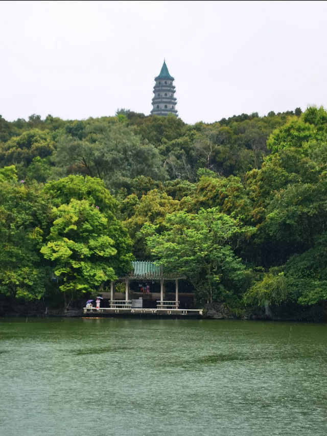 南寧青秀山一日遊｜闖入熱帶雨林的奇妙世界！