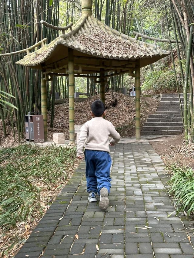 白天俯瞰江景，晚上欣賞燈光匯演，磨基山24小時漫遊指南：

磨基山作為宜昌「城市陽台」，既能徒步吸氧、俯瞰