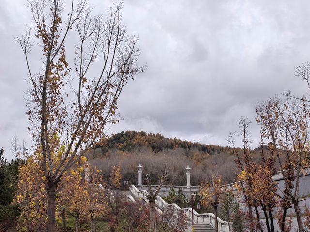 五臺山紅葉觀賞