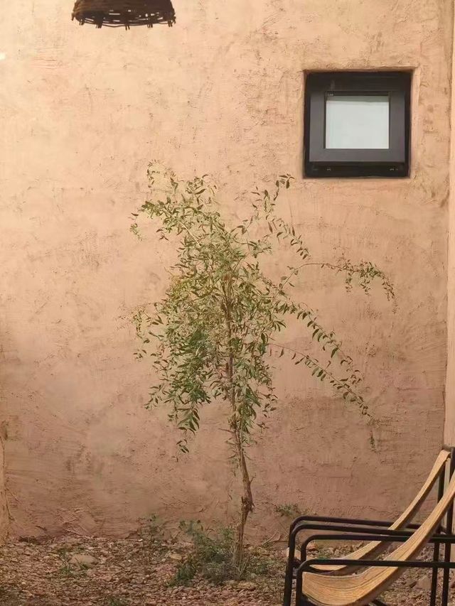 中衛度假天花板!住進沙漠裡的北非風情民宿 中衛度假天花板!住進沙漠裡的北非風情民宿