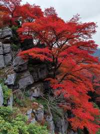 崆峒山保姆級賞秋攻略|滿山紅葉美到窒息