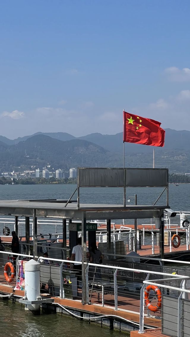 昆明冬天的浪漫 海鷗佔一半