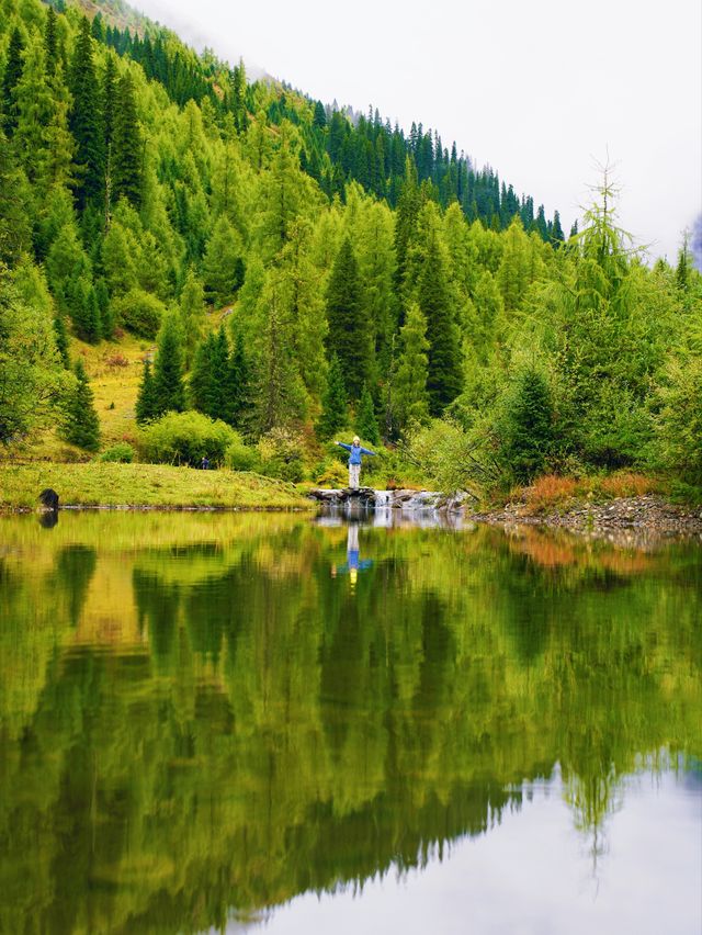 川西小環線親子友好不塞車路線