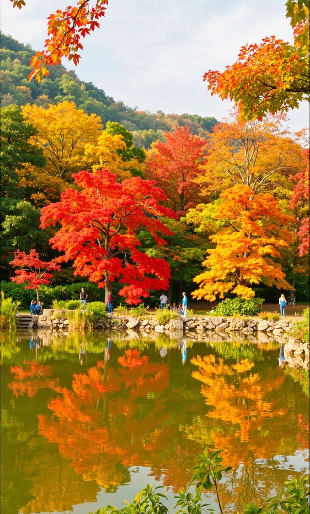 秋天的調色盤被打翻在雲平山絕美秘境等你來打卡! 秋天的調色盤被打翻在雲平山絕美秘境等你來打卡!