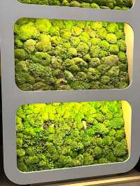 馬德里歐洲精選NH，舒適與現代的完美結合   酒店：馬德里歐洲精選NH酒店  地址：Padre 