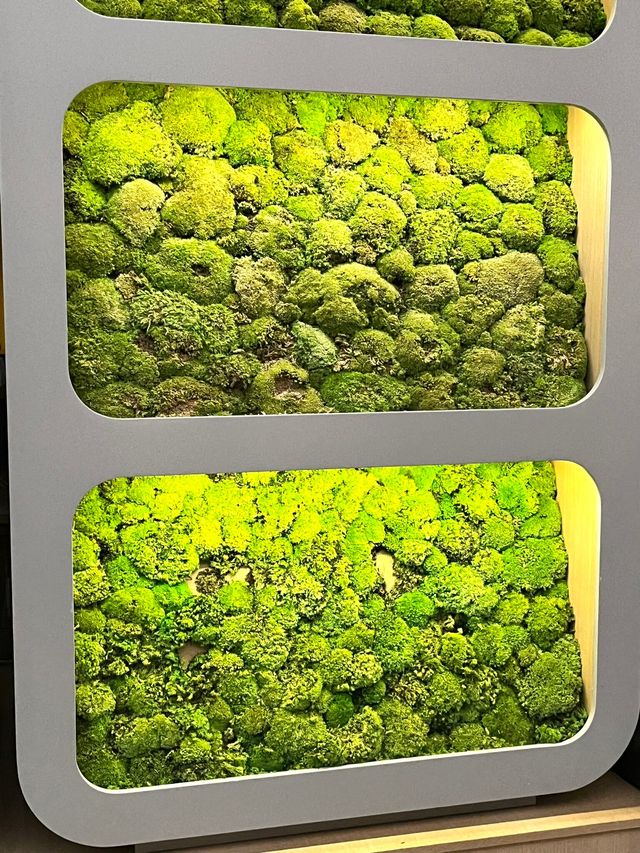 馬德里歐洲精選NH，舒適與現代的完美結合   酒店：馬德里歐洲精選NH酒店  地址：Padre 