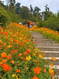 武漢旅遊住宿位置推薦