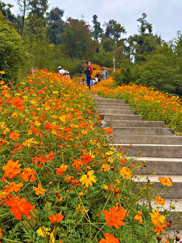 武漢旅遊住宿位置推薦