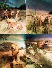 深圳遛娃一日遊 地鐵直達!免費!這條路線太香了