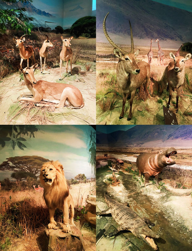 深圳遛娃一日遊 地鐵直達!免費!這條路線太香了 深圳遛娃一日遊 地鐵直達!免費!這條路線太香了