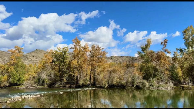 心上人我在可可托海等你新疆仙境童話世界