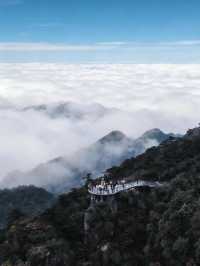 雲霧仙境徒步路線