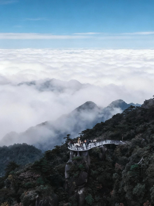 雲霧仙境徒步路線